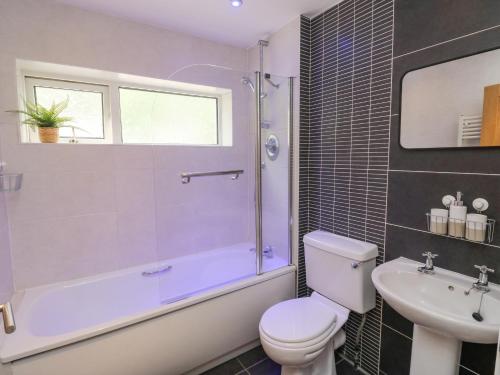 a bathroom with a toilet and a tub and a sink at Terrace Views in Torquay