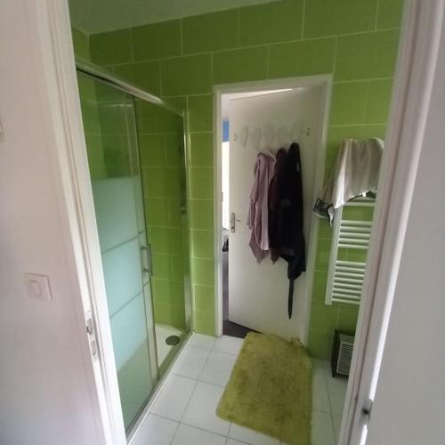 La salle de bains verte est pourvue d'une douche et d'une porte en verre. dans l'établissement Splendide villa d architecte ; massif du pilat, à Planfoy