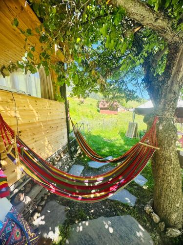a hammock hanging from a tree next to a bench at Pirikiti in Akhmety