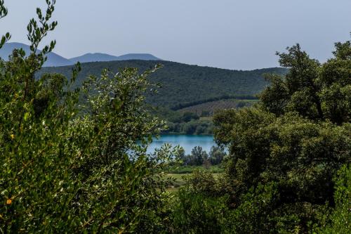 a view of a lake through the trees at Casa Vacanza Il Carpignone 7 in Massa Marittima