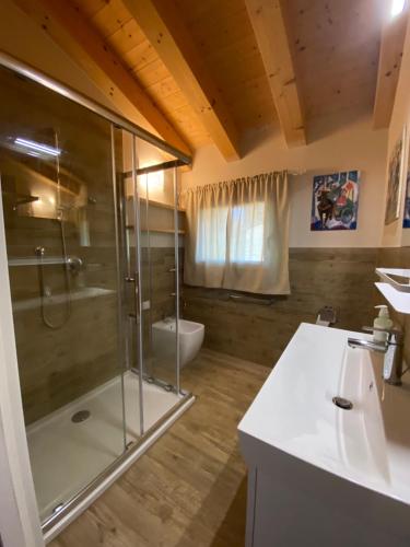 een badkamer met een douche en een wastafel bij La casa di Bruno in Piove di Sacco