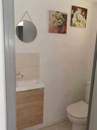 La salle de bains est pourvue de toilettes, d'un miroir et d'un lavabo. dans l'établissement Jolie maison de vacances, à Saint-Laurent-de-la-Salanque