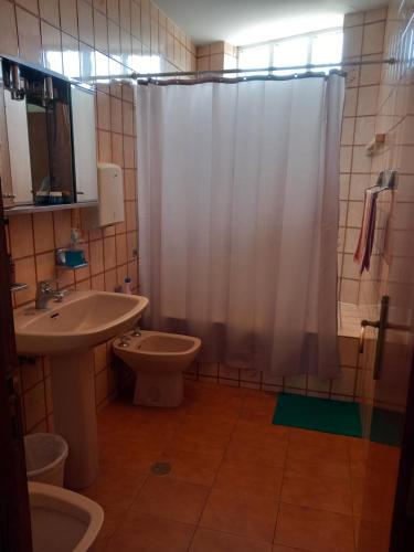 een badkamer met een douche, een wastafel en een toilet bij Pensión Baires in O Coto