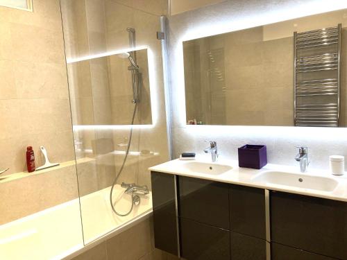 une salle de bain avec un lavabo, une douche et un miroir dans l'établissement Bel Appartement avec balcon proche Roland Garos et Parc des Princes, à Boulogne-Billancourt