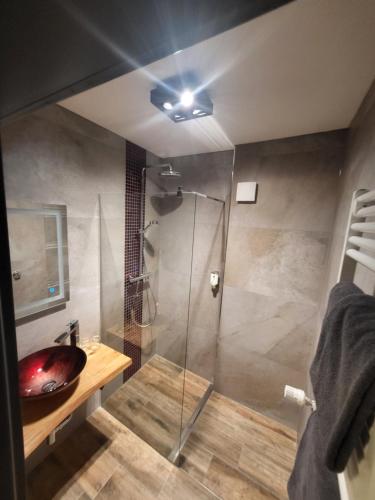 a bathroom with a glass shower with a sink at Berghotel Habbel und die Welt kann warten in Cobbenrode