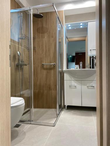 a bathroom with a shower and a toilet and a sink at Cottage Boutique Apartments Athens in Athens
