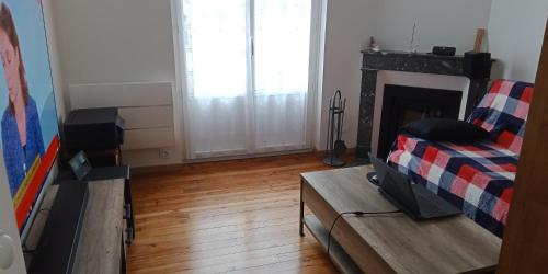 a living room with a couch and a fireplace at L'Isard in Pierrefitte-Nestalas