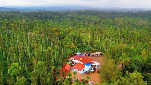 an aerial view of a house in the middle of a forest at NEW ORGANIC HOME STAY in Mudigere