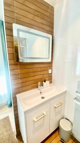 Koupelna v ubytování appartement avec vue jardin proche de Paris