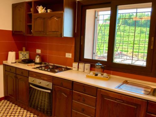 eine Küche mit einem Herd oberer Ofen neben einem Fenster in der Unterkunft Tenuta Kiwi dell’Etna in Milo