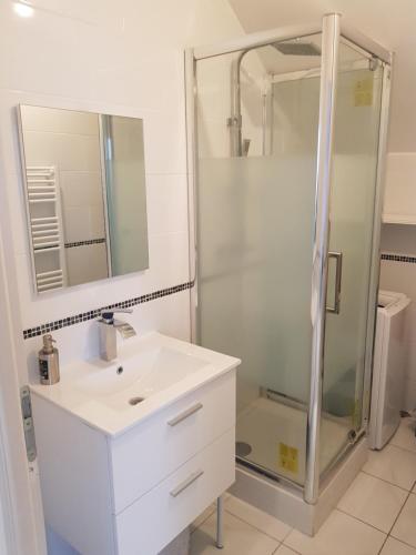 ein Bad mit einem Waschbecken und einer Dusche in der Unterkunft APPARTEMENTS NEUFS PROCHE DE PARIS in Bonneuil-sur-Marne