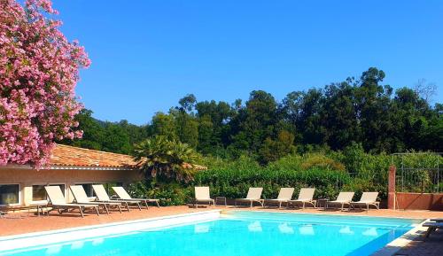 - une piscine avec des chaises longues et un arbre dans l'établissement Hotel Olmuccio, à Sainte-Lucie de Porto-Vecchio