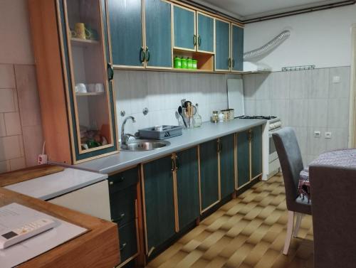 a kitchen with green cabinets and a sink and a table at Dana in Trnava