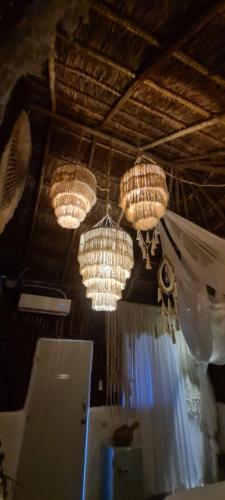 Gallery image of Aldea Ommi in Progreso