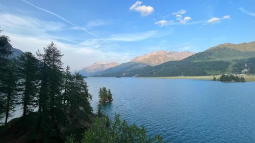 a large lake with trees and mountains in the background at Chesa Munteratsch 2-Zimmerwohnung 101 Typ E in Silvaplana