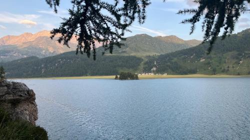 a view of a lake with mountains in the background at Chesa Munteratsch 1 1 2-Zimmerwohnung 209 Typ D in Silvaplana