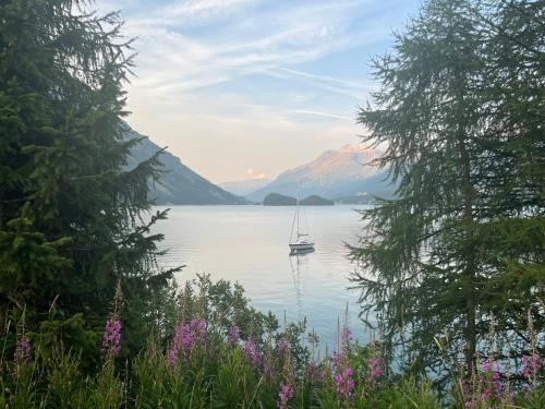 a sailboat on a lake with mountains in the background at Chesa Munteratsch 1 1 2-Zimmerwohnung 209 Typ D in Silvaplana