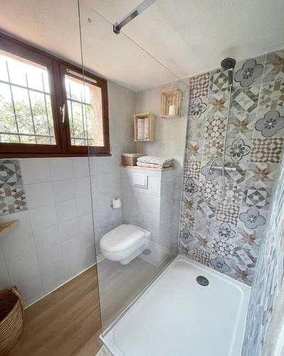 une salle de bain avec toilettes et douche en verre dans l'établissement CASA ANPÀ - Appartement Vue Mer, à Zonza