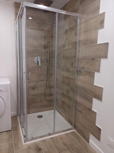 une douche avec une porte vitrée dans une salle de bain dans l'établissement Joli 3p - Bas de villa, à Saint-André