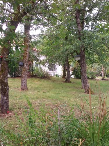 un groupe d'arbres dans une cour avec une maison dans l'établissement Gîte du pech, à Arcambal