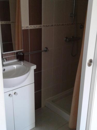 une salle de bain avec un lavabo blanc et une douche dans l'établissement Gîte du pech, à Arcambal