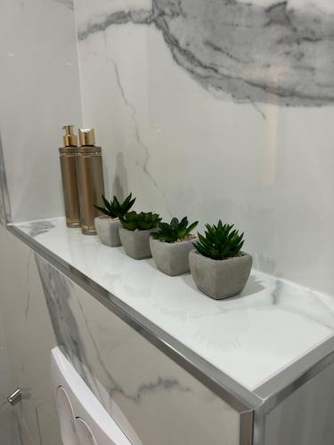 cuatro plantas sentadas en una estantería de cristal en un baño en Rijeka UrbanSPA, en Rijeka