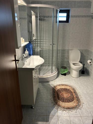 a bathroom with a shower and a sink and a toilet at Sunshine apartment in Ioannina
