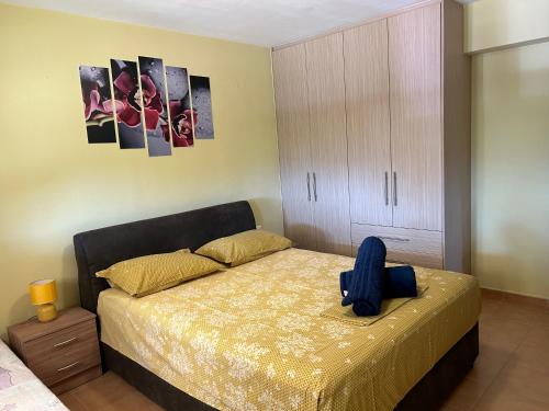 Fotografie z fotogalerie ubytování Sunshine apartment v destinaci Ioannina