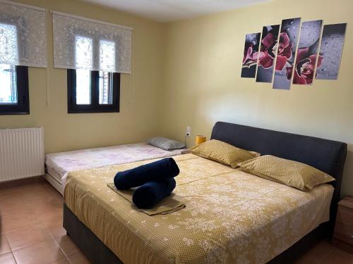 a bedroom with two beds and paintings on the wall at Sunshine apartment in Ioannina