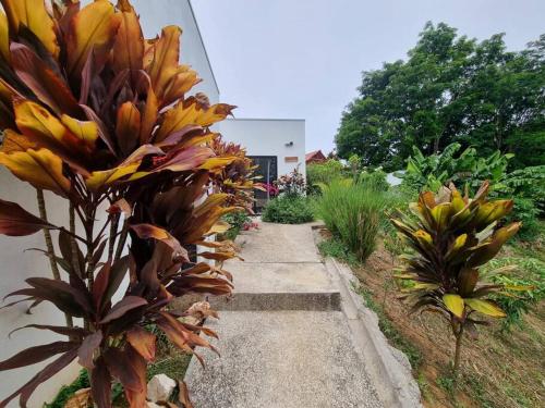 casa Charlyna – Photos 3