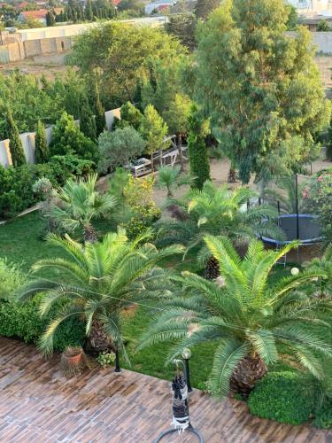 an aerial view of a garden with palm trees at Baku White Villa in Baku