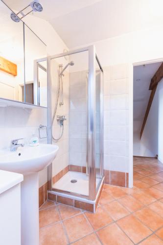 une salle de bain avec douche et lavabo dans l'établissement Chalet Clos Gauthier, à La Salle Les Alpes