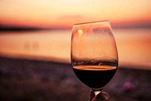 a person holding a glass of wine at sunset at Les pieds dans le sable in Chambord