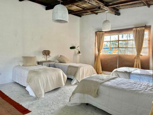 Lodge Pampa Haus – Photos 4