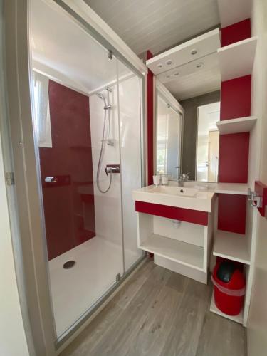 a bathroom with a shower and a sink and a mirror at Les chalets des Îles in Borgo