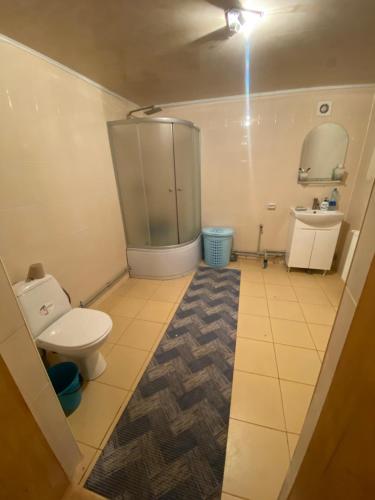 La salle de bains est pourvue de toilettes et d'un lavabo. dans l'établissement Солонець, à Chereshenka