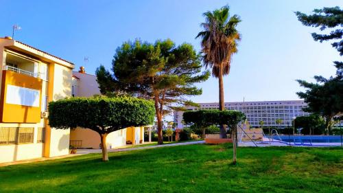 a green yard with palm trees and a building at Coqueto apartamento con terraza en la playa in Roquetas de Mar