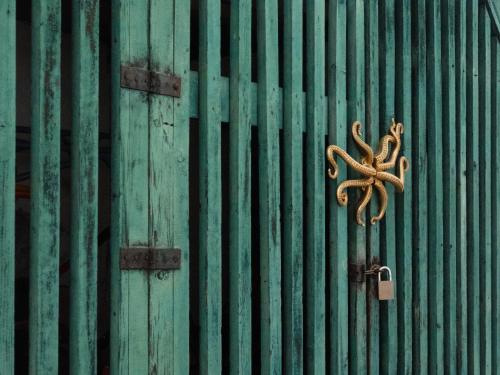 a green door with a lock on a green wall at Schönste Location in Würzburg in Würzburg