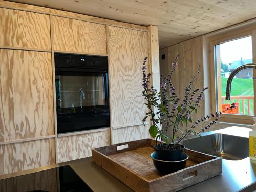 a kitchen with a table with a potted plant on it at Sunnehuesli in Braunwald