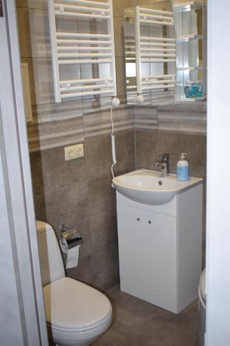 a bathroom with a toilet and a sink at Kandavas Apartments in Daugavpils