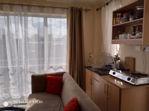 a living room with a couch and a window at Lux Suites Racecourse Gardens Studio Apartments in Nairobi