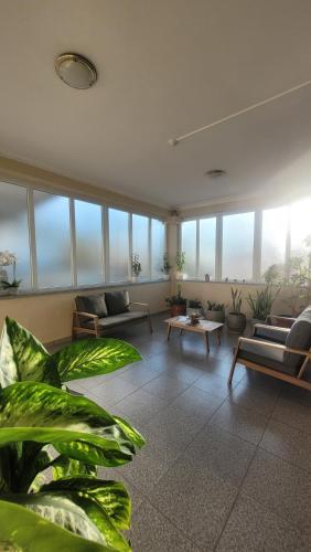 een grote woonkamer met veel planten bij Ferrinho in Guarda
