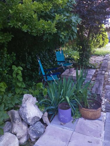 two blue chairs and plants in a garden at Loft La buena vida in Peñaranda de Duero