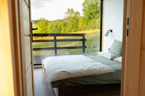 een slaapkamer met een bed en uitzicht op een raam bij Domek z sauną Neptun in Krzyżowa