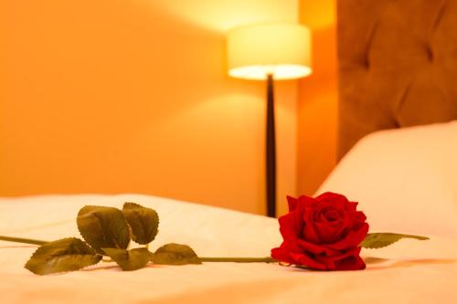 a red rose sitting on top of a bed at Hotel La Farola in Cuenca