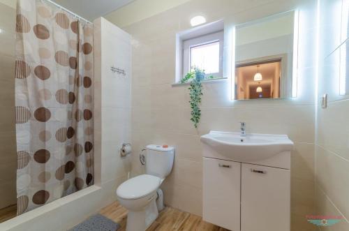 uma casa de banho com um WC, um lavatório e um chuveiro em Morelowa przystań em Gdansk