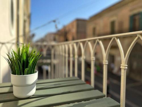 a plant sitting on a table on a balcony at Iblu Rooms in Termoli