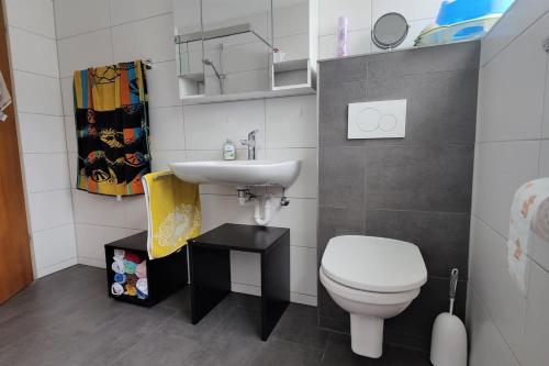 a bathroom with a white toilet and a sink at Familien-Ferienwohnung Lichtenstein (BW) in Lichtenstein
