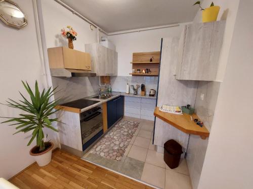 una pequeña cocina con armarios blancos y una maceta en Apartman Buba, en Krapinske Toplice