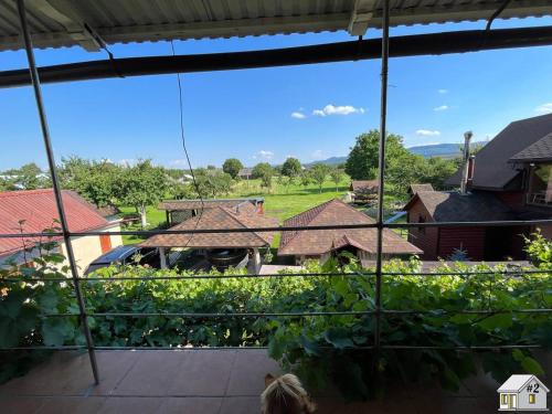 a woman looking out of a window at a bunch of vines at Cottage 'Carolina' with hot tub, sauna and BBQ area in Kosiv